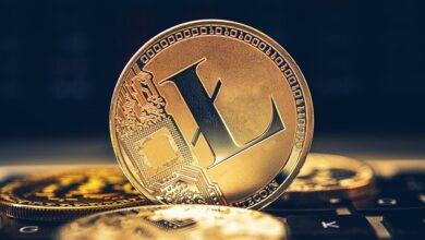 LiteCoin Mayıs Ayında 100 Dolara Yükselir Mi?